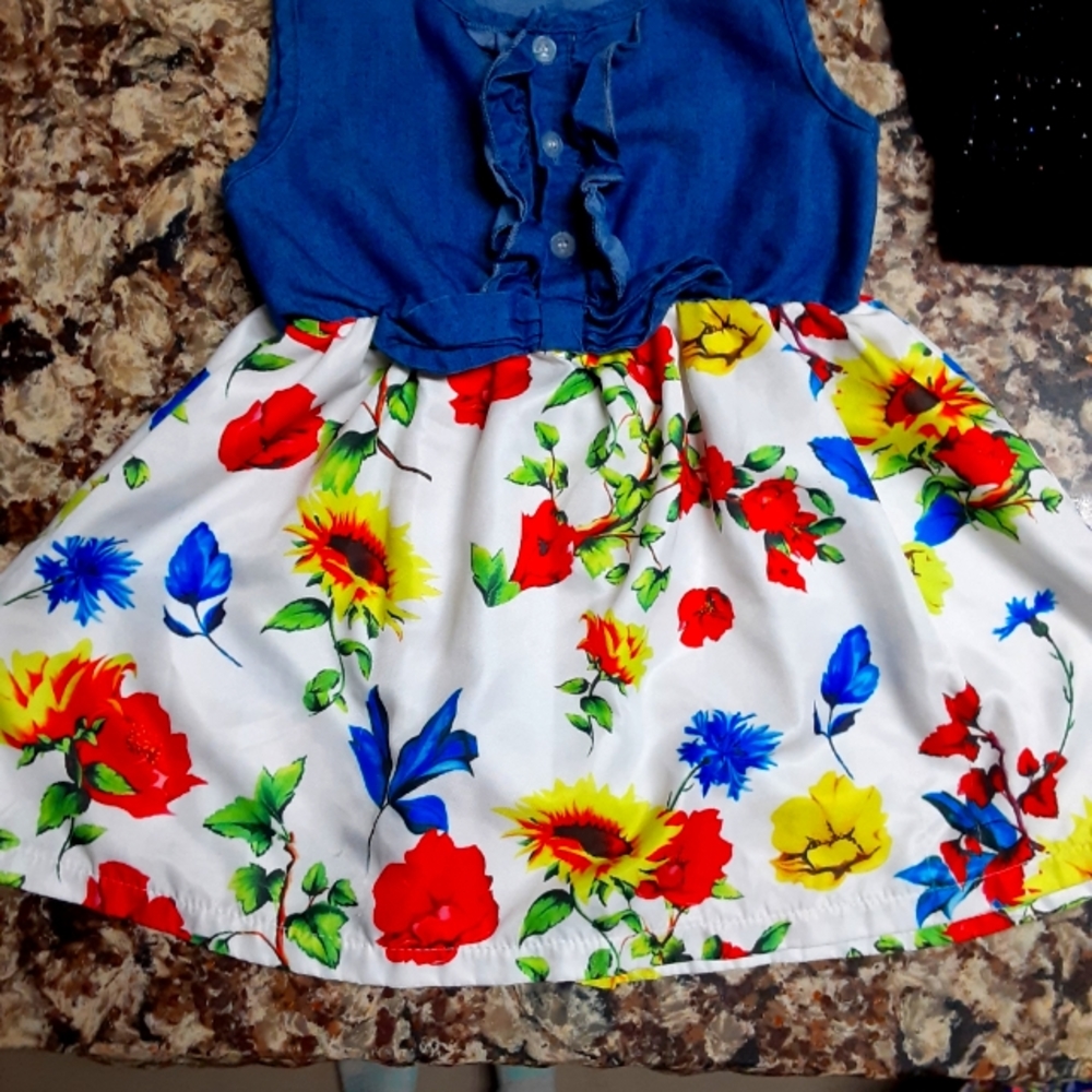 Dress 2T